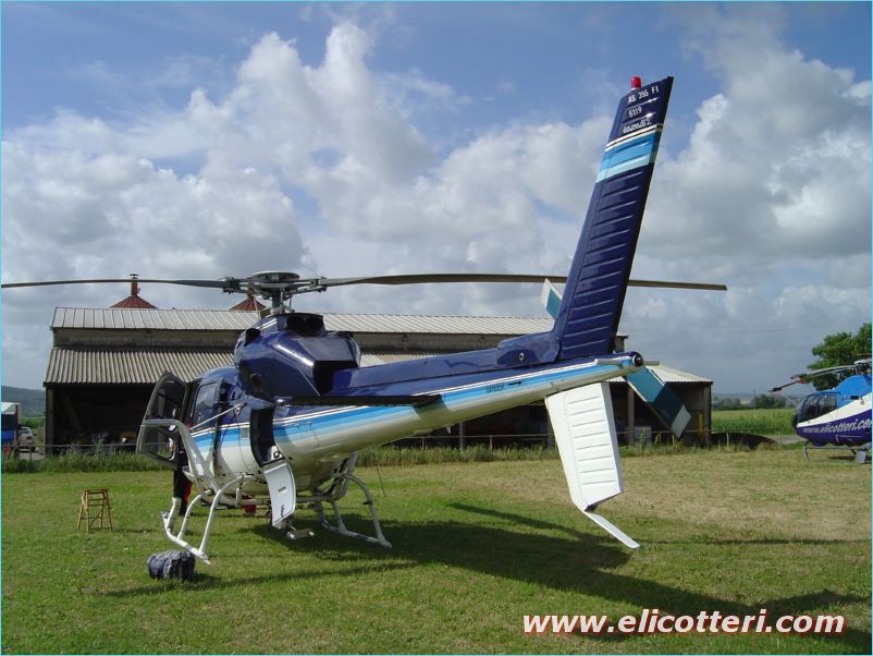 elifoto (88)
